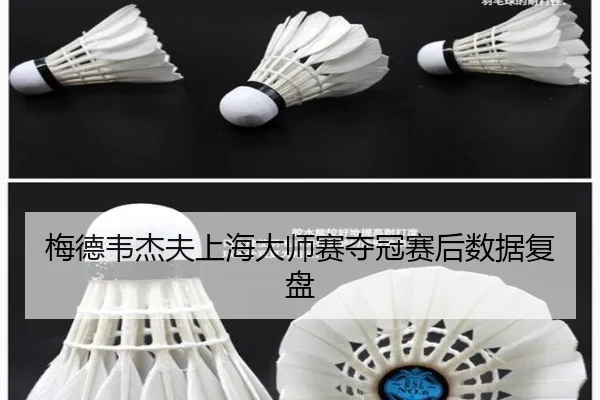 梅德韦杰夫上海大师赛夺冠赛后数据复盘 - s16jingcai